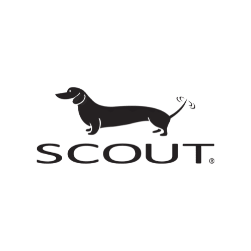 scout 1